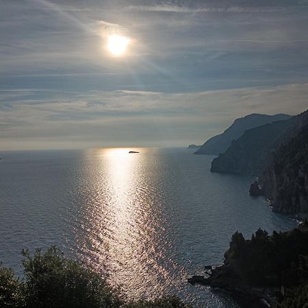 Amalfi Coast, Positano, Sorrento, Capri, Garden, Villa Carcara Colli di Fontanelle Dış mekan fotoğraf