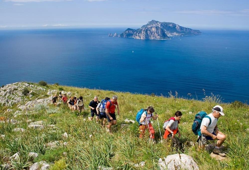 Amalfi Coast, Positano, Sorrento, Capri, Garden, Villa Carcara Colli di Fontanelle Dış mekan fotoğraf