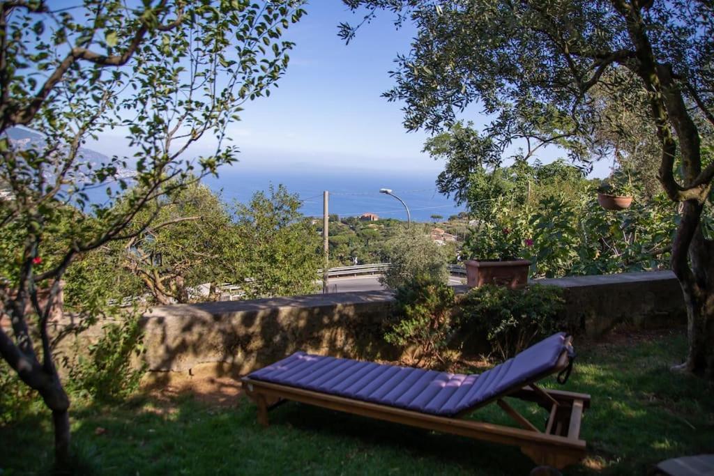 Amalfi Coast, Positano, Sorrento, Capri, Garden, Villa Carcara Colli di Fontanelle Dış mekan fotoğraf