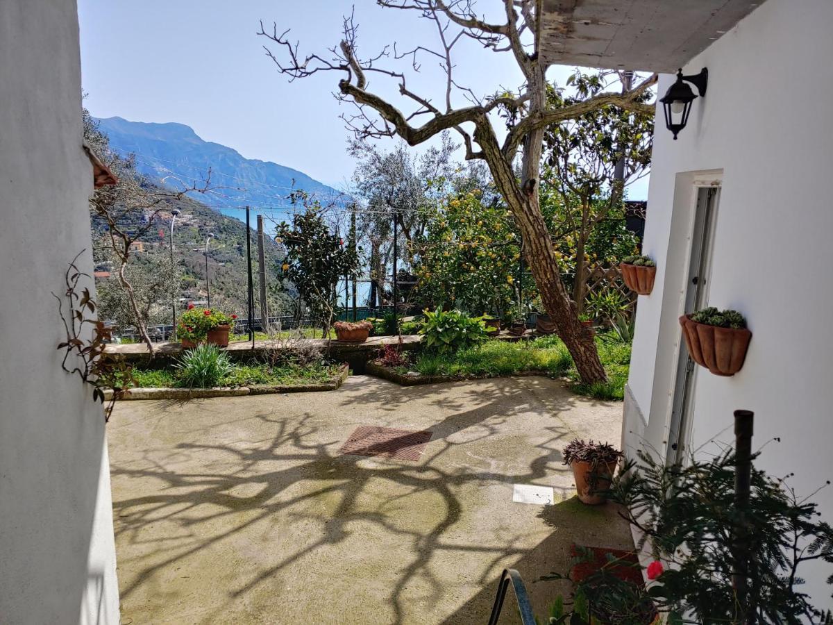 Amalfi Coast, Positano, Sorrento, Capri, Garden, Villa Carcara Colli di Fontanelle Dış mekan fotoğraf