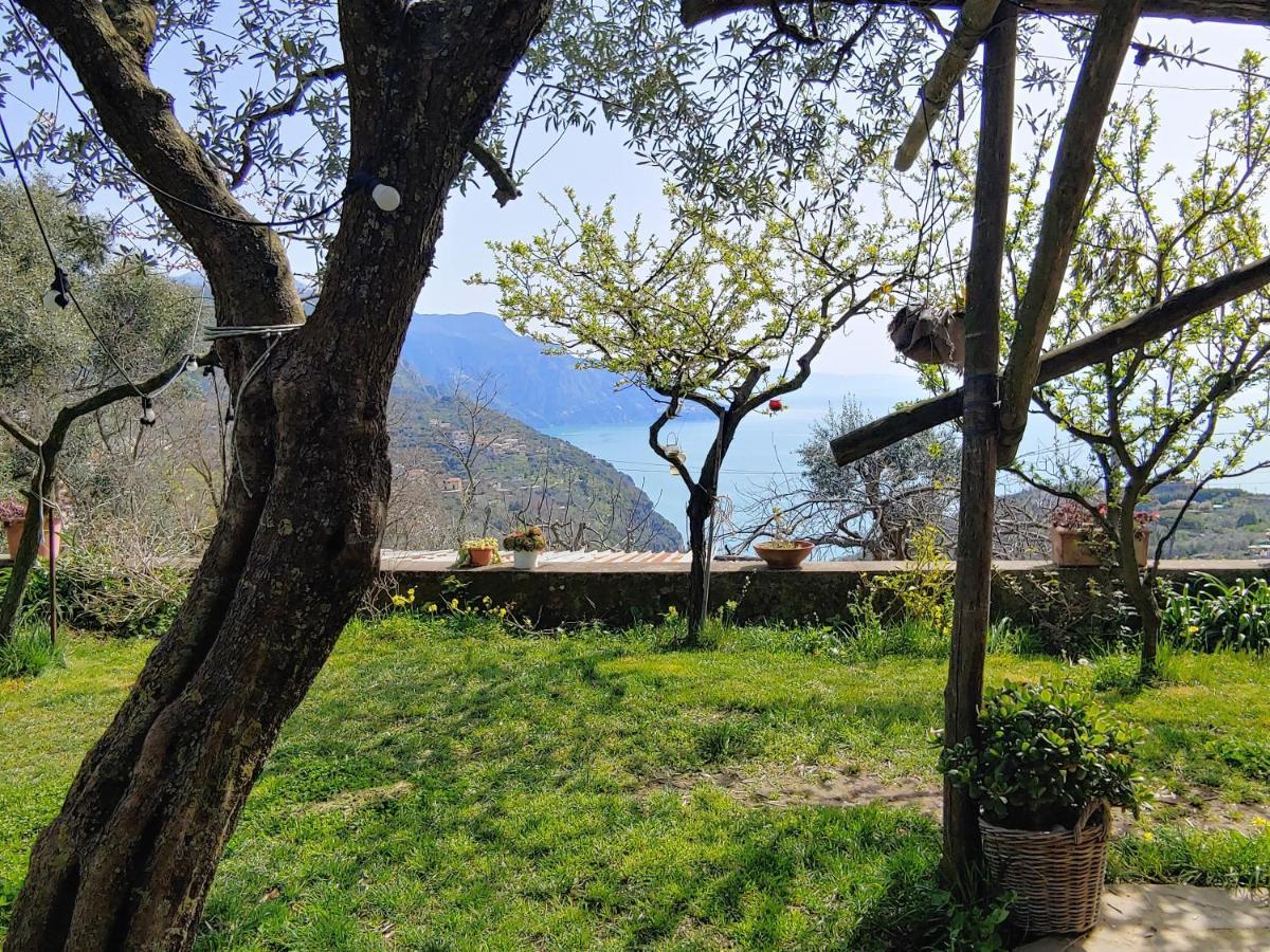 Amalfi Coast, Positano, Sorrento, Capri, Garden, Villa Carcara Colli di Fontanelle Dış mekan fotoğraf