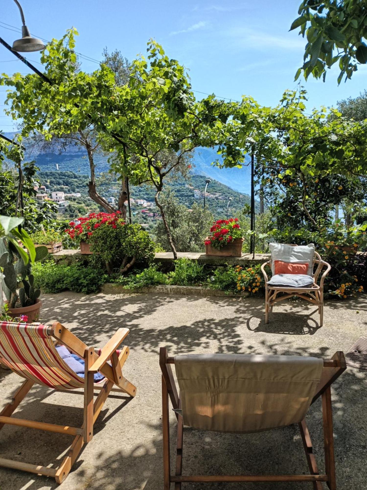 Amalfi Coast, Positano, Sorrento, Capri, Garden, Villa Carcara Colli di Fontanelle Dış mekan fotoğraf