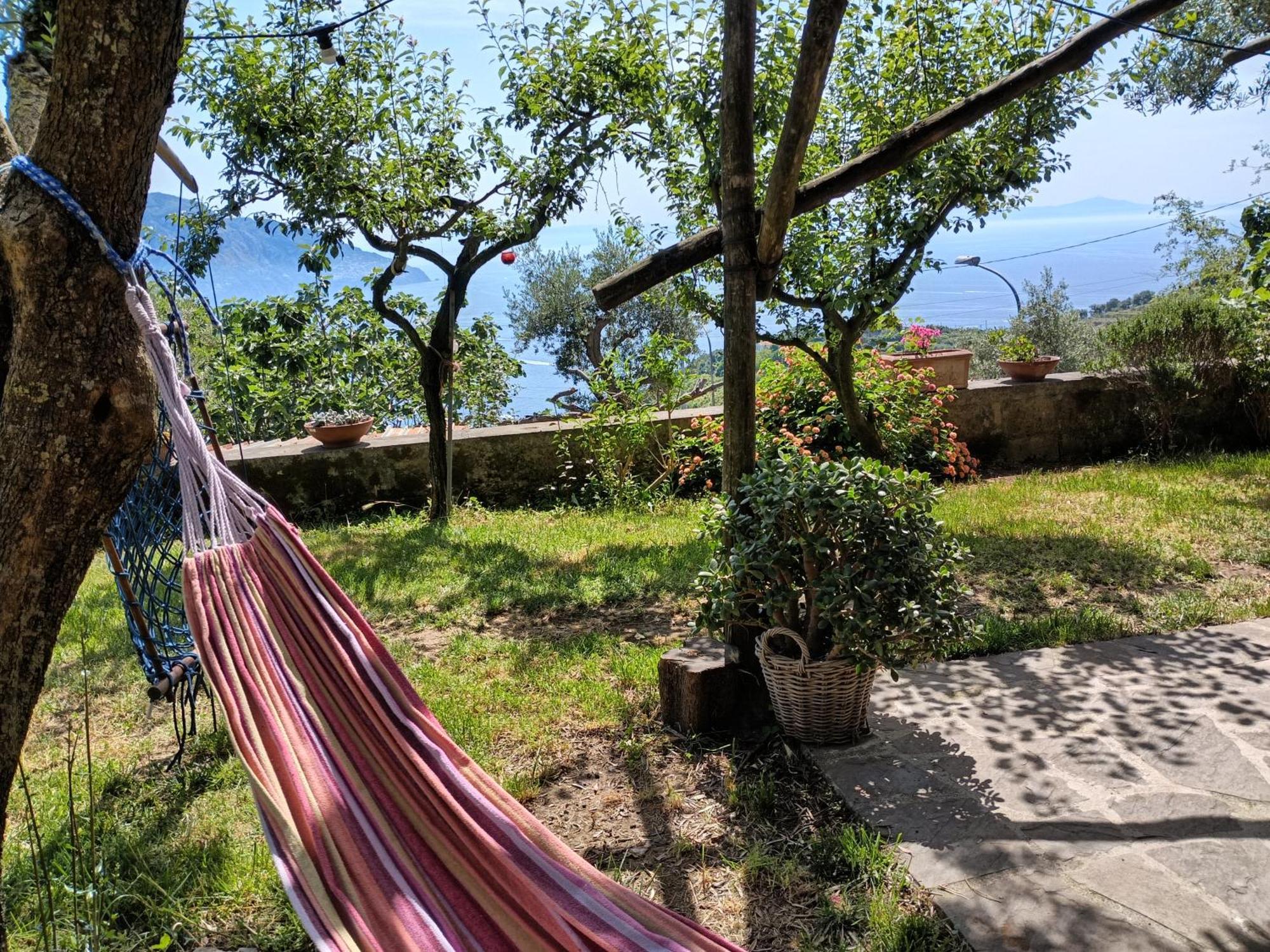 Amalfi Coast, Positano, Sorrento, Capri, Garden, Villa Carcara Colli di Fontanelle Dış mekan fotoğraf