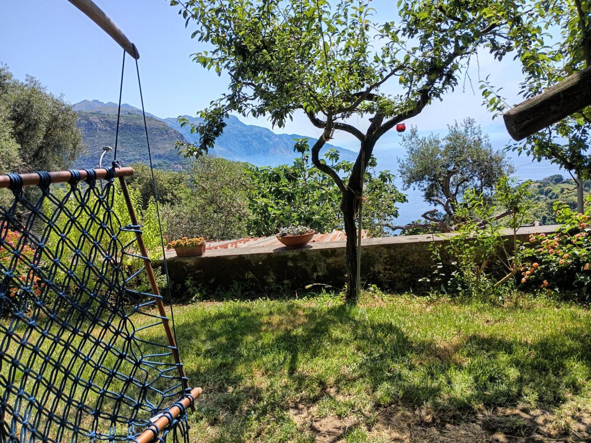 Amalfi Coast, Positano, Sorrento, Capri, Garden, Villa Carcara Colli di Fontanelle Dış mekan fotoğraf