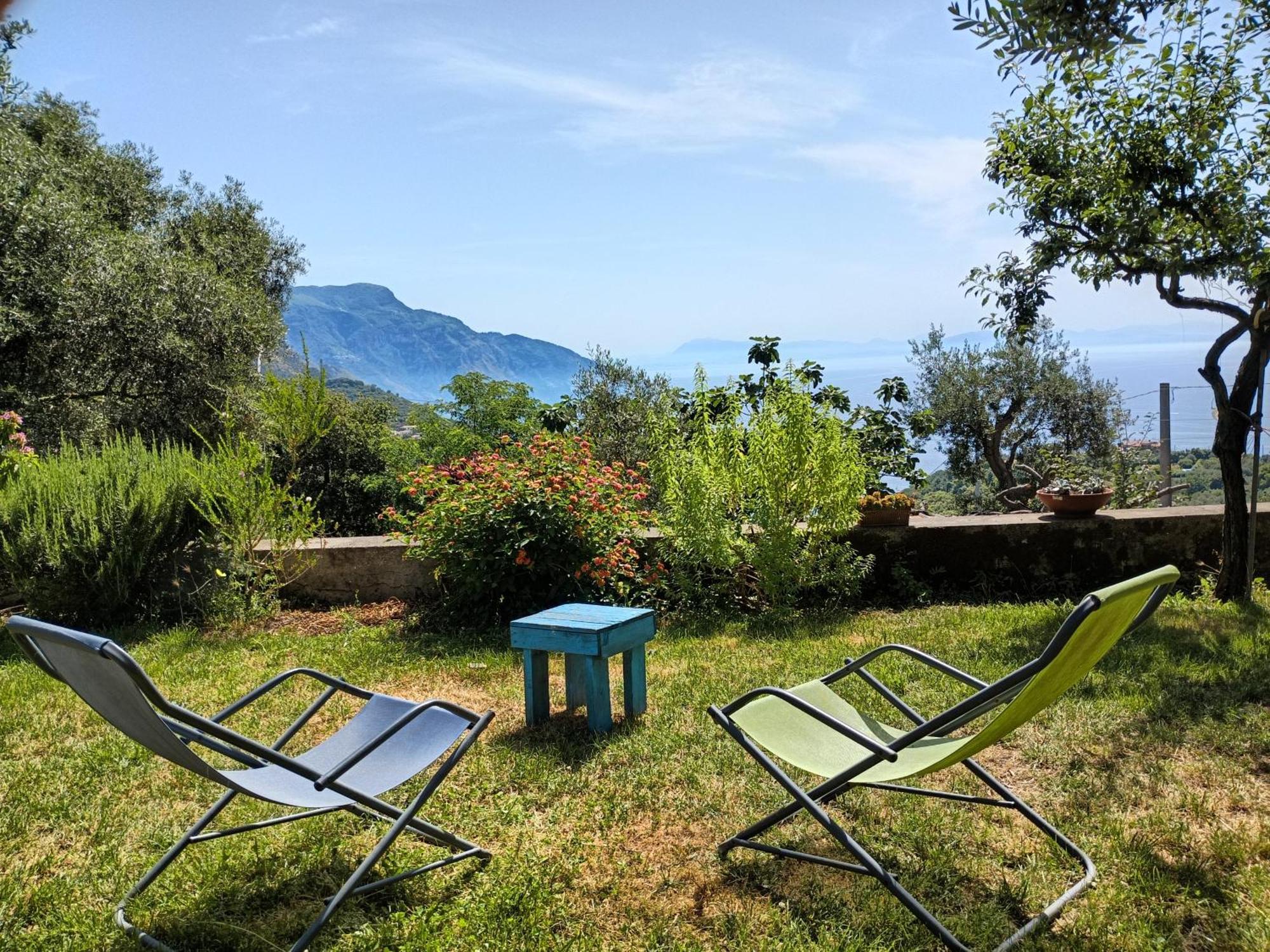Amalfi Coast, Positano, Sorrento, Capri, Garden, Villa Carcara Colli di Fontanelle Dış mekan fotoğraf